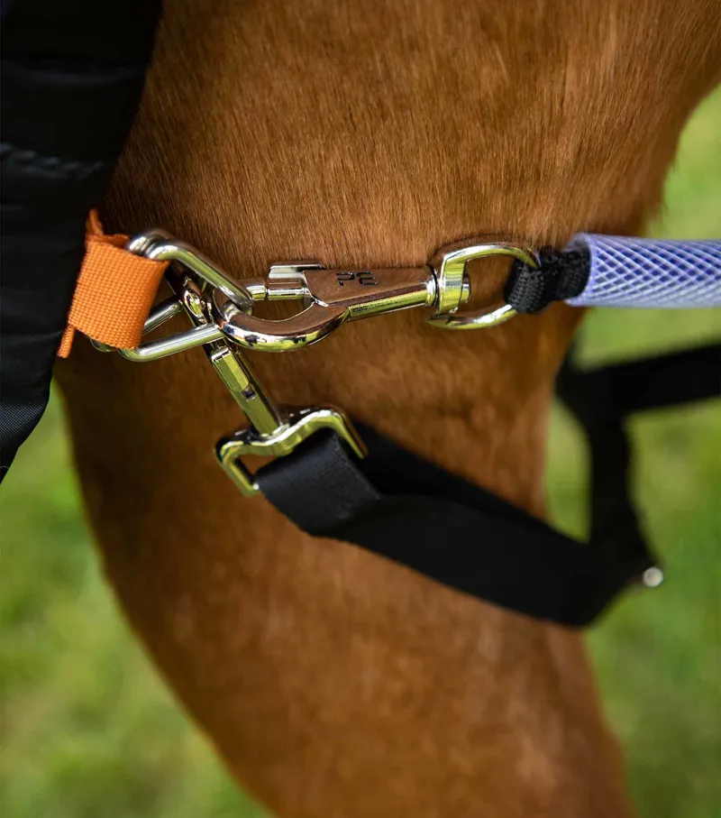 Premier Equine Buster Storm 400g Combo Turnout Rug With Classic Neck Burnt Orange 5 Premier Equine Buster Storm 400g Combo Turnout Rug With Classic Neck Burnt Orange - Image 5