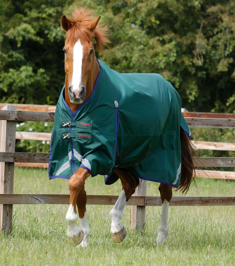 Premier Equine Buster Zero Original Turnout Rug Green 1 Premier Equine Buster Zero Original Turnout Rug Green