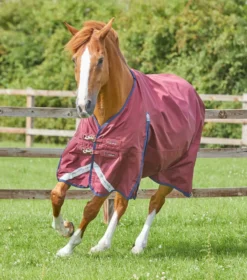 Premier Equine Buster Zero Original Turnout Rug Burgundy