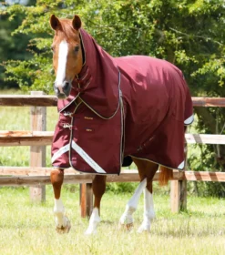 Premier Equine Buster Zero Turnout Rug With Classic Neck Cover Burgundy