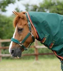 Premier Equine Buster Zero Turnout Rug With Classic Neck Cover Green -Lemieux Shop Buster Zero Turnout Rug Green 3
