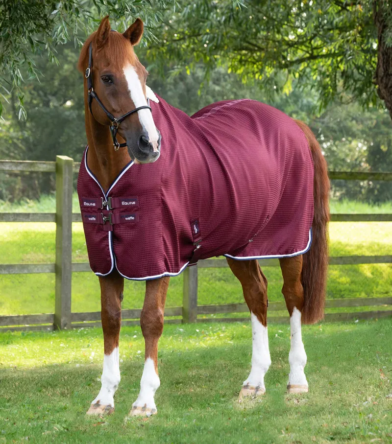 Premier Equine Buster Waffle Horse Cooler Rug Burgundy 1 Premier Equine Buster Waffle Horse Cooler Rug Burgundy