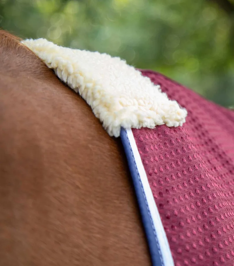 Premier Equine Buster Waffle Horse Cooler Rug Burgundy 3 Premier Equine Buster Waffle Horse Cooler Rug Burgundy - Image 3