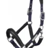 LeMieux Capella Headcollar Navy