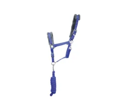 Hy Sport Active Head Collar And Lead Rope In Amethyst Purple