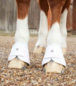 Premier Equine Carbon Wrap Over Reach Boots White -Lemieux Shop Carbon Wrap Over Reach Boot White 4