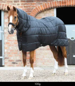 Premier Equine 100g Combo Horse Rug Liner Black