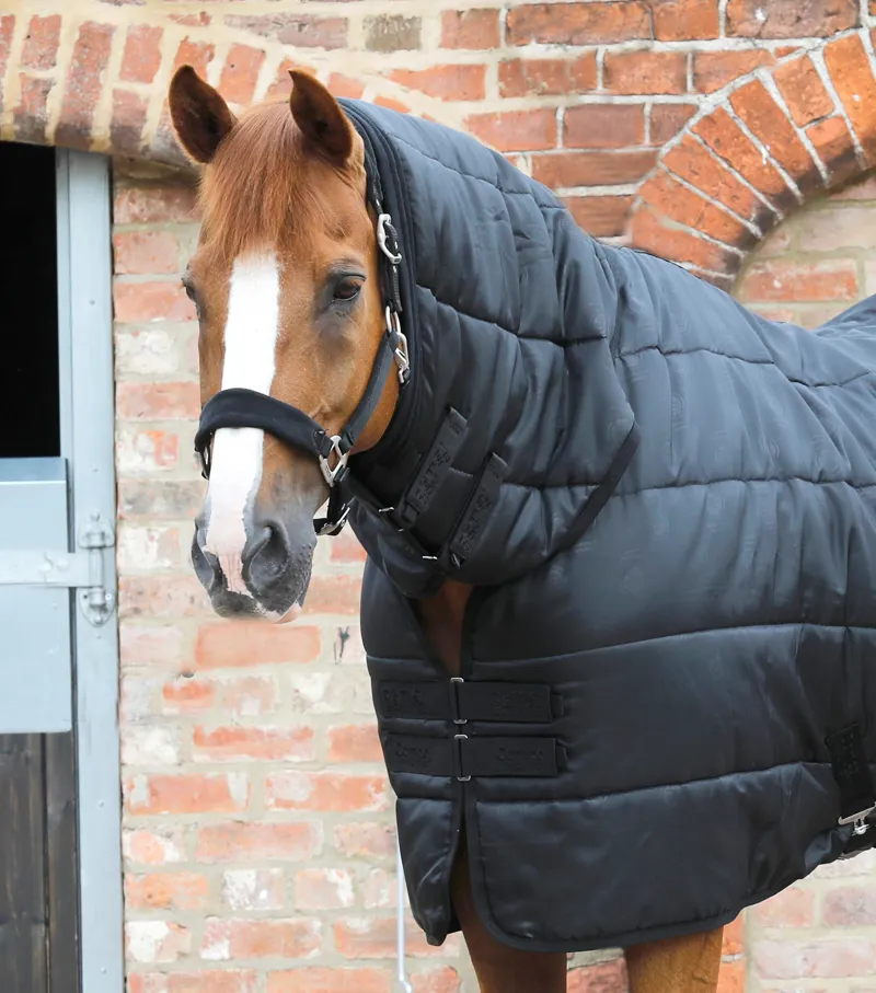Premier Equine 200g Combo Horse Rug Liner Black 2 Premier Equine 200g Combo Horse Rug Liner Black - Image 2