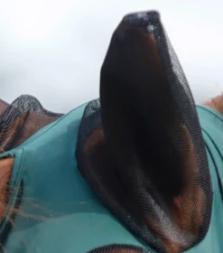 Premier Equine Comfort Tech Lycra Fly Mask Green -Lemieux Shop Comfort Tech Lycra Fly Mask Green 2