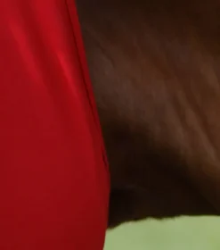 Premier Equine Comfort Tech Lycra Fly Mask Red -Lemieux Shop Comfort Tech Lycra Fly Mask Red 3