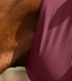 Premier Equine Comfort Tech Xtra Lycra Fly Mask Wine -Lemieux Shop Comfort Tech Lycra Fly Mask Wine 3 2
