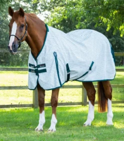 Premier Equine Cotton Sheet Green Check