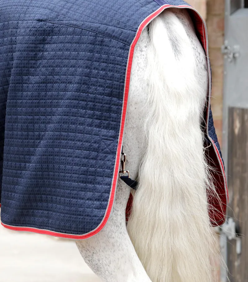 Premier Equine Dry-Tech Horse Cooler Rug Navy 6 Premier Equine Dry-Tech Horse Cooler Rug Navy - Image 6