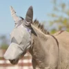 Cashel Donkey Long Fly Mask W/Ears In Grey