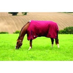 JHL Essential Mediumweight Turnout Rug In Burgundy/Navy