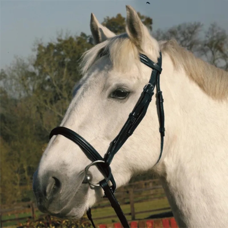 JHL Raised Cavesson Bridle In Black 1 JHL Raised Cavesson Bridle In Black
