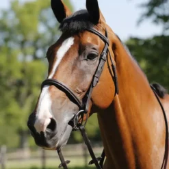 JHL Raised Cavesson Bridle In Brown