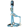 KM Elite Padded Headcollar In Baby Blue