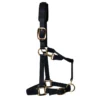 KM Elite Padded Headcollar In Black