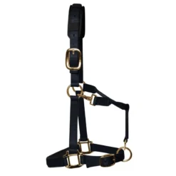 KM Elite Padded Headcollar In Black