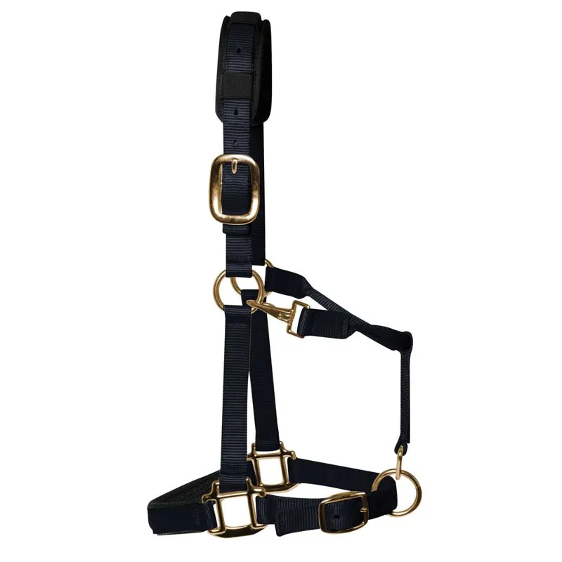 KM Elite Padded Headcollar In Black 1 KM Elite Padded Headcollar In Black