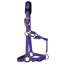 KM Elite Padded Headcollar In Purple