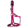 KM Elite Padded Headcollar In Raspberry