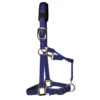 KM Elite Padded Headcollar In Royal Blue