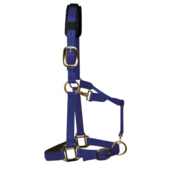 KM Elite Padded Headcollar In Royal Blue