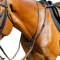 Mark Todd Padded Breastplate In Havana