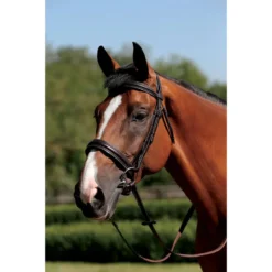 Mark Todd Padded Cavesson Bridle In Black