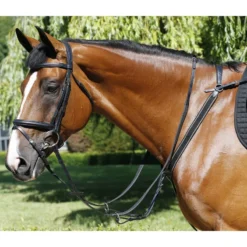 Mark Todd Performance Elastic Breastplate In Black