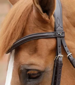 Premier Equine Favoloso Anatomic Bridle With Crank Noseband Brown -Lemieux Shop Favoloso Anatomic Bridle with Crank Noseband Brown 2ALT