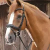 Premier Equine Favoloso Anatomic Bridle With Crank Noseband Black