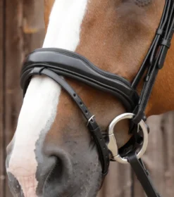 Premier Equine Favoloso Anatomic Bridle With Crank Noseband Black -Lemieux Shop Favoloso Bridle with Crank and Flash Black 1ALT