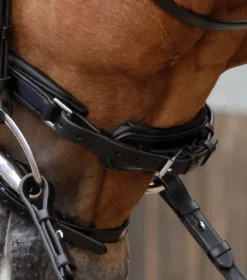 Premier Equine Favoloso Anatomic Bridle With Crank Noseband Black -Lemieux Shop Favoloso Bridle with Crank and Flash Black 2ALT