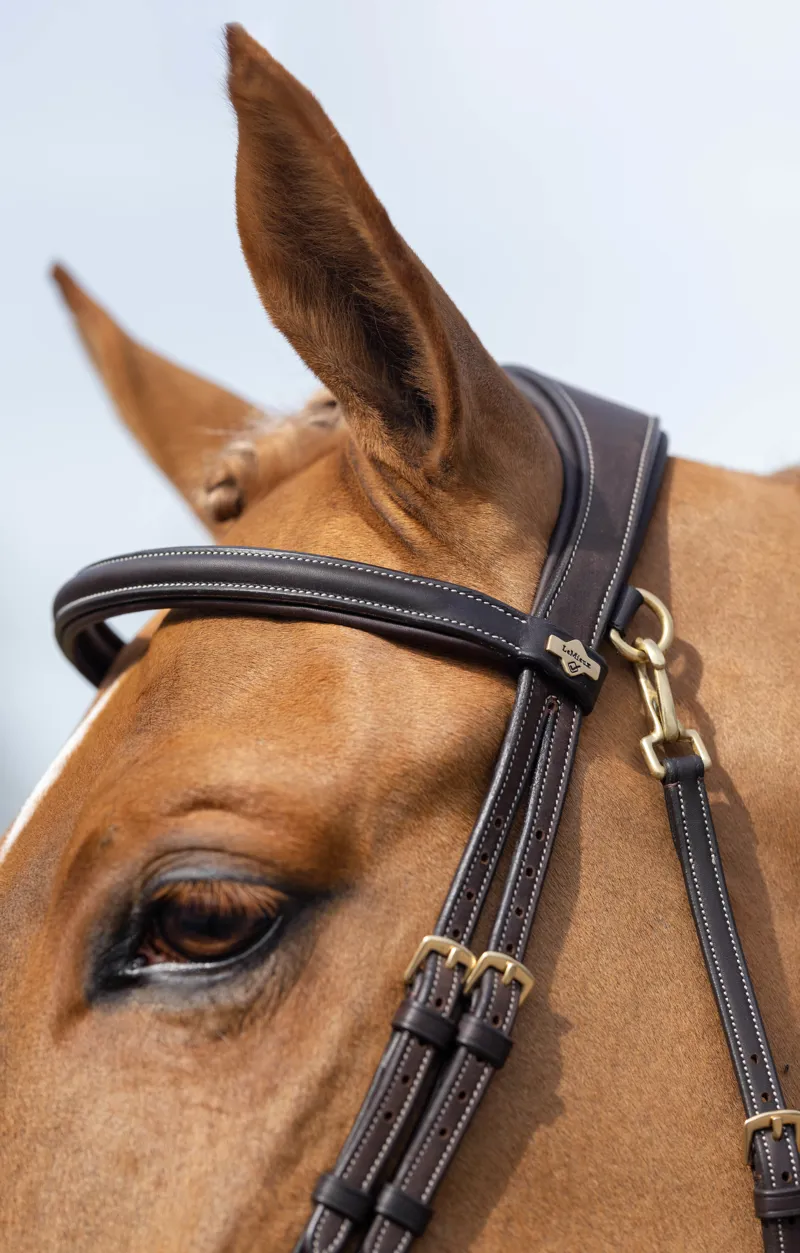 LeMieux Kudos Work Bridle Brown 4 LeMieux Kudos Work Bridle Brown - Image 4