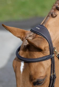 LeMieux Kudos Work Bridle Brown 9 LeMieux Kudos Work Bridle Brown -Lemieux Shop G0A7517