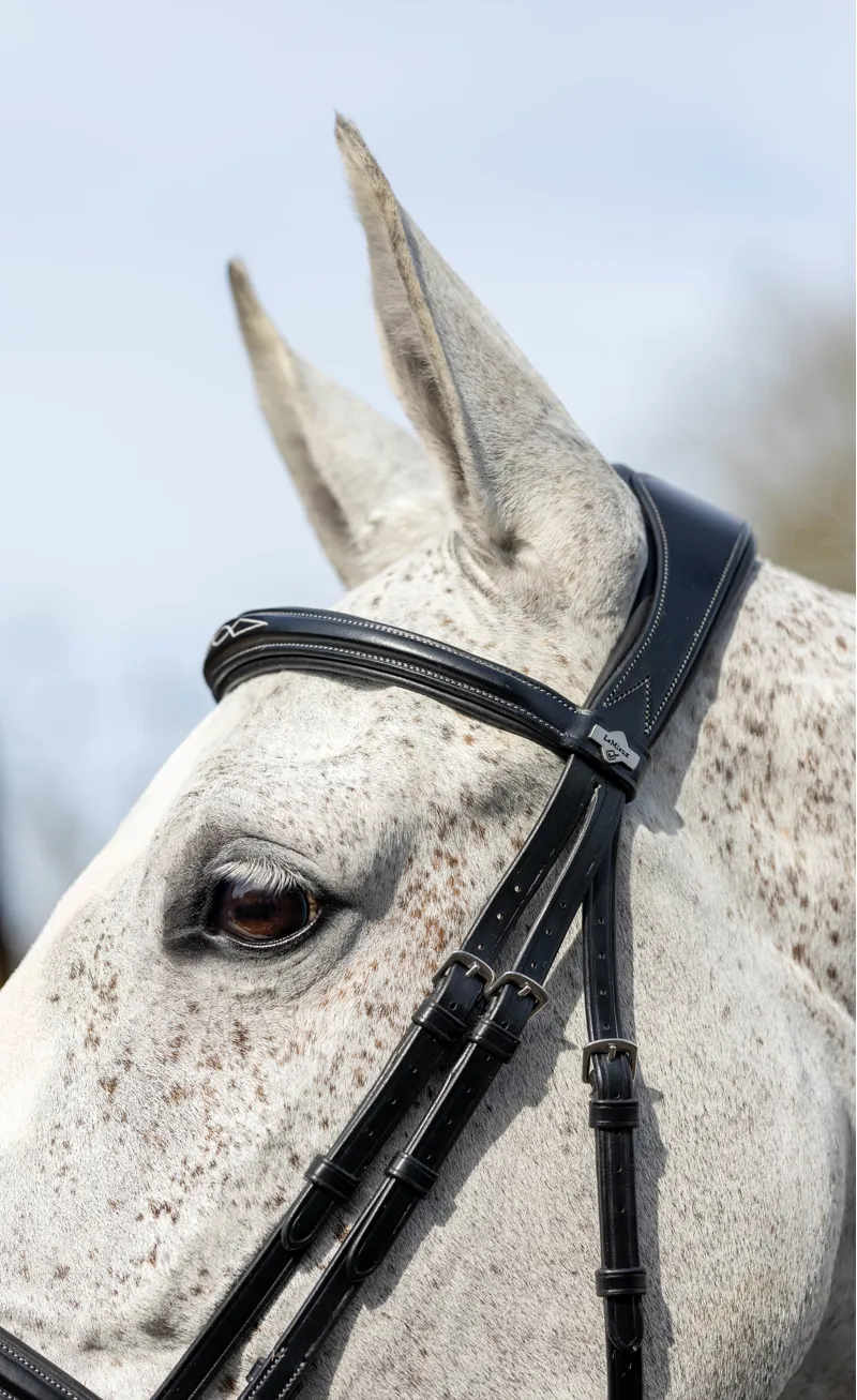 LeMieux Kudos Competition Flash Bridle Black 4 LeMieux Kudos Competition Flash Bridle Black - Image 4