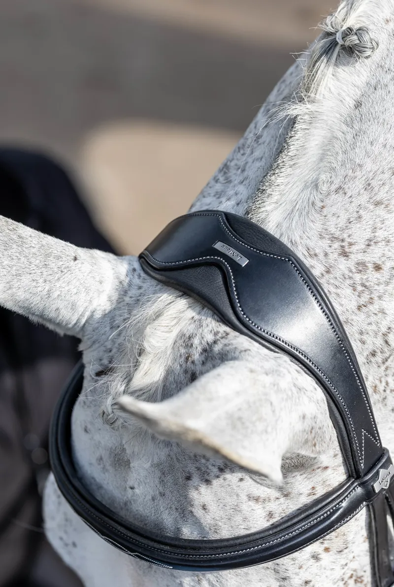 LeMieux Kudos Competition Flash Bridle Black 5 LeMieux Kudos Competition Flash Bridle Black - Image 5