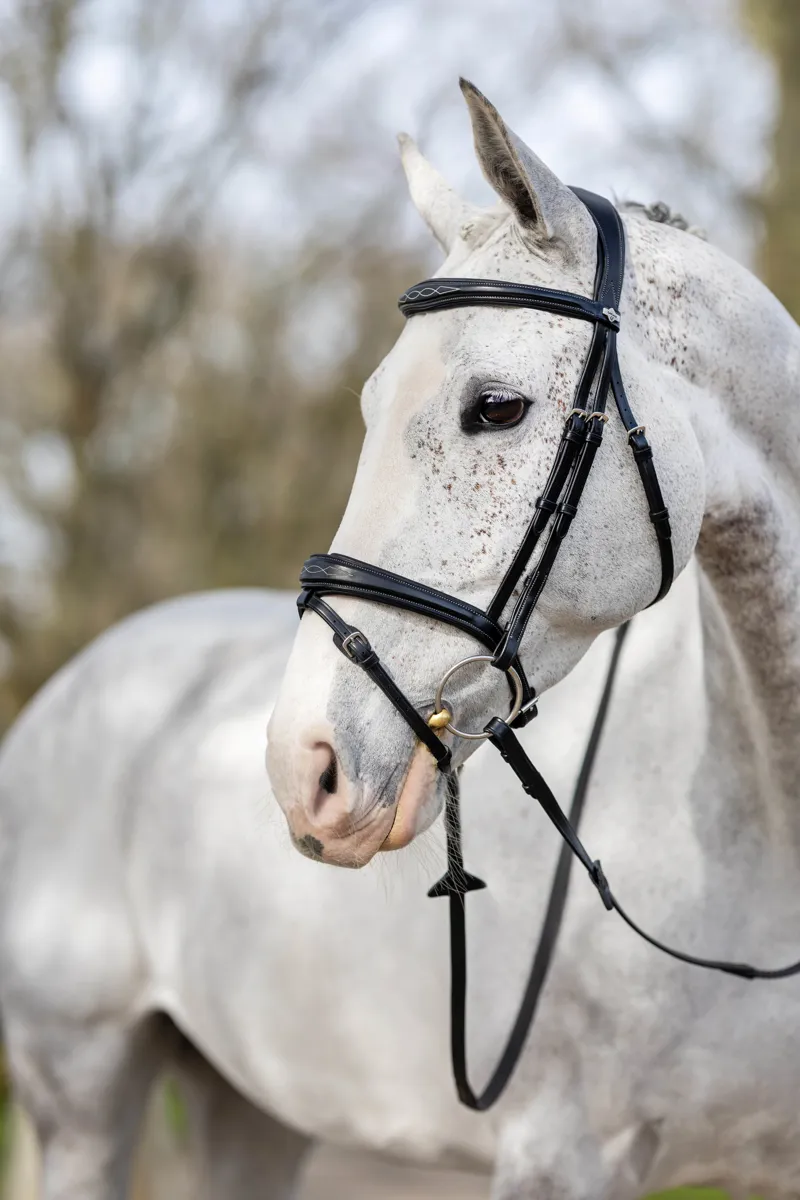 LeMieux Kudos Competition Flash Bridle Black 3 LeMieux Kudos Competition Flash Bridle Black - Image 3