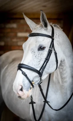 LeMieux Kudos Competition Flash Bridle Black 11 LeMieux Kudos Competition Flash Bridle Black -Lemieux Shop G0A7739