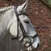 GFS Harmony Bridle With Rubber Grip Reins - Brown