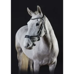 GFS Premier Alpine Bridle - Black