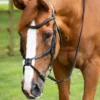 Premier Equine Glorioso Grackle Bridle Black