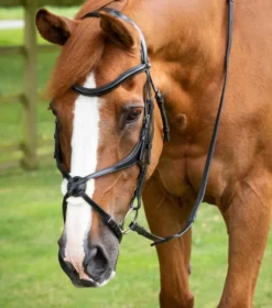 Premier Equine Glorioso Grackle Bridle Black