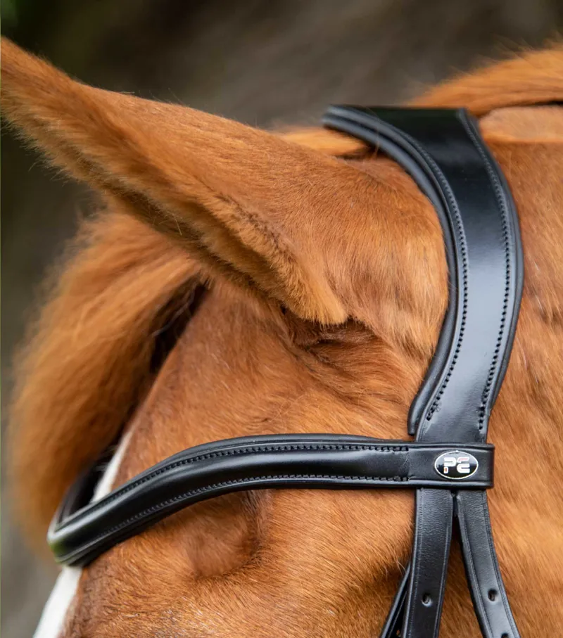 Premier Equine Glorioso Grackle Bridle Black 2 Premier Equine Glorioso Grackle Bridle Black - Image 2
