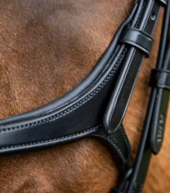 Premier Equine Glorioso Grackle Bridle Black 10 Premier Equine Glorioso Grackle Bridle Black -Lemieux Shop Glorioso Grackle Bridle Black 5