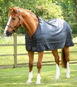 Premier Equine 100g Horse Rug Liner Black -Lemieux Shop Horse Rug Liner Black 2 3