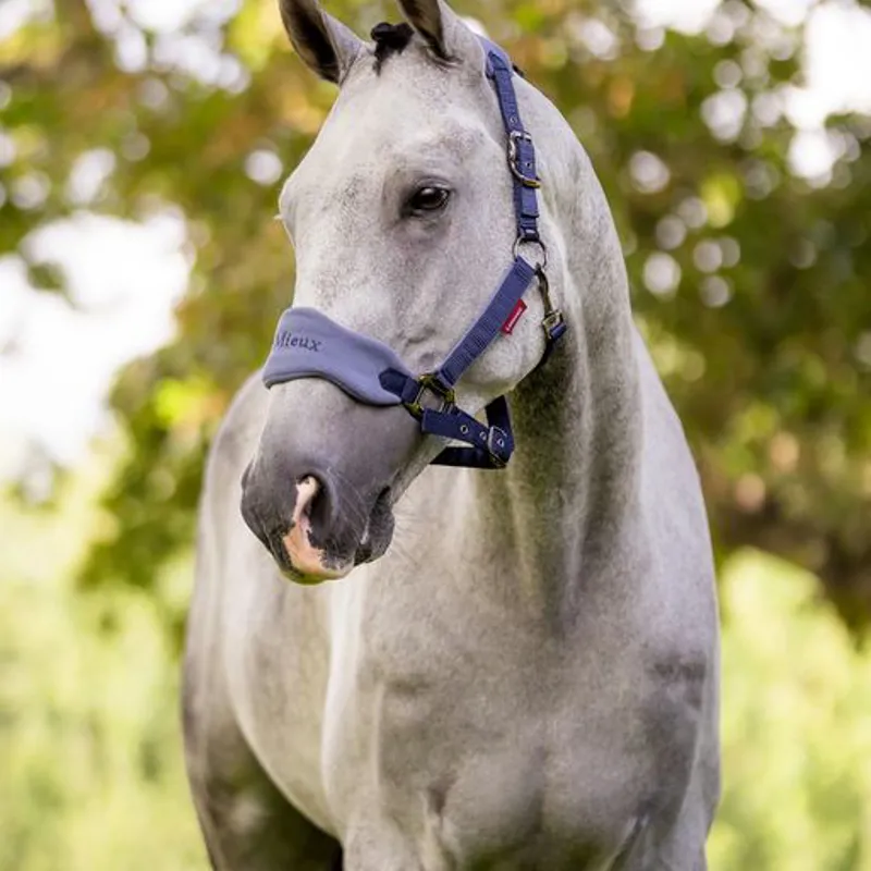LeMieux Vogue Headcollar And Leadrope Indigo 2 LeMieux Vogue Headcollar And Leadrope Indigo - Image 2